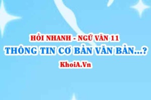 Thông tin cơ bản của văn bản là gì? Cách trình bày ý tưởng và thông tin, dữ liệu? Ngữ Văn lớp 11